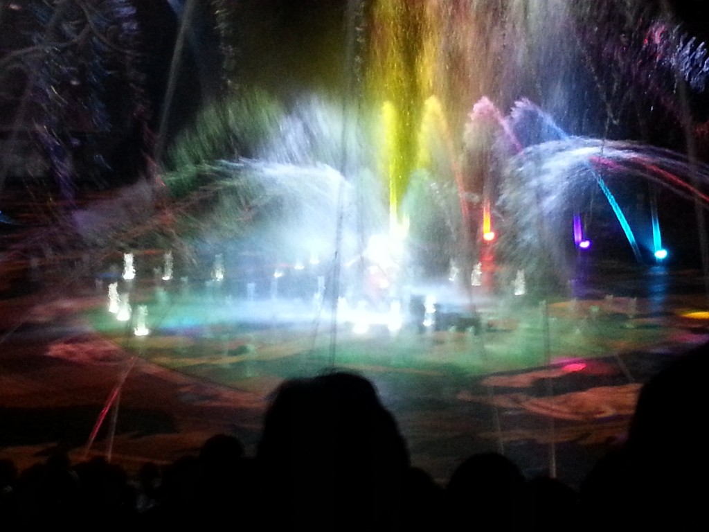 57_DancingWaterShow_20150205_180217